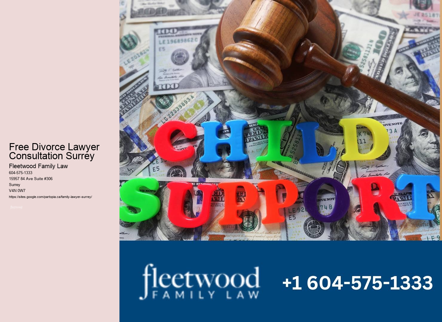 Best Family Lawyer Surrey