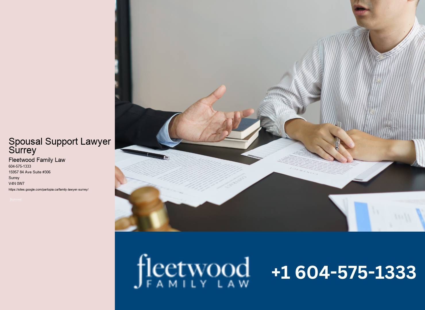 Surrey family legal services