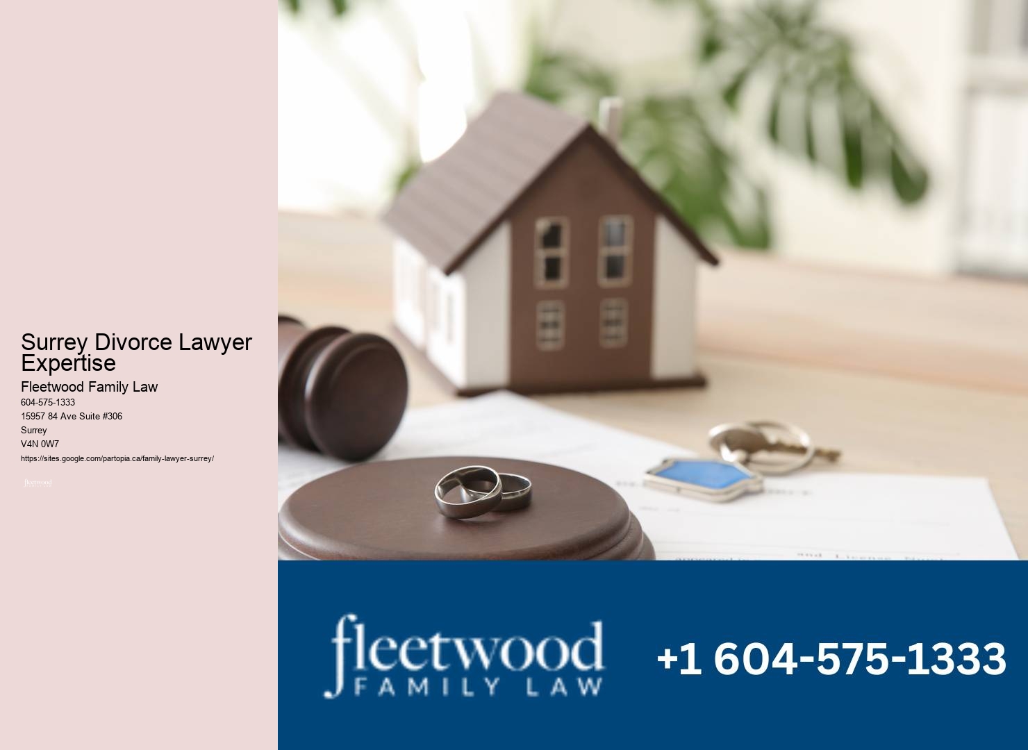Surrey property division legal representation