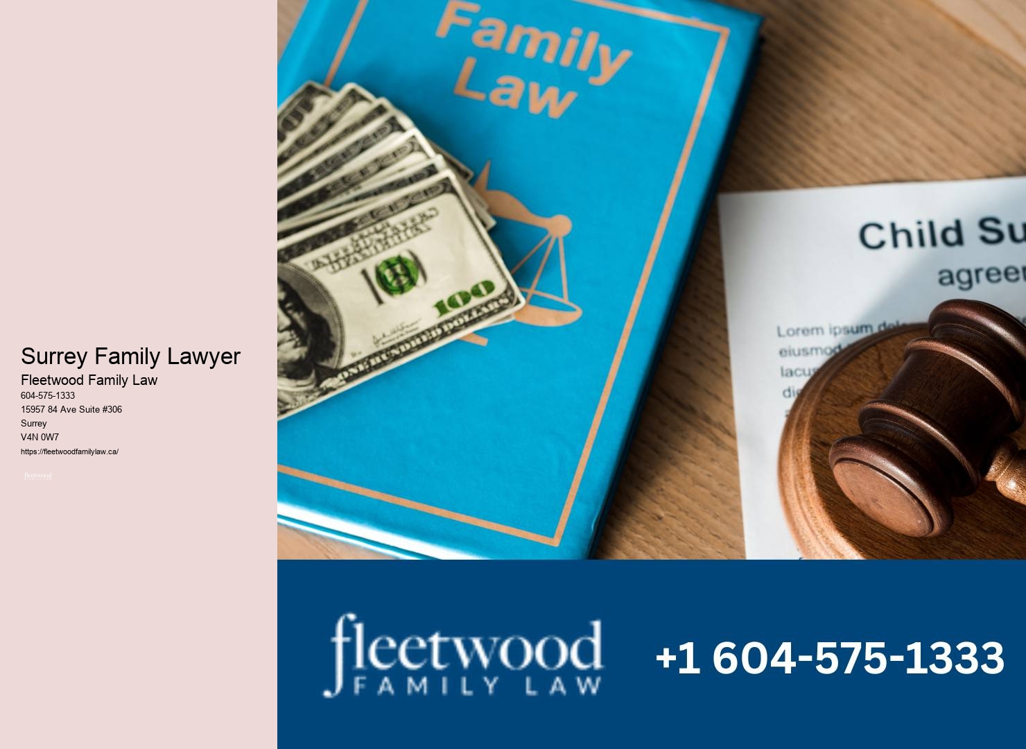 Surrey Family Lawyer Family Law Legal Representation
