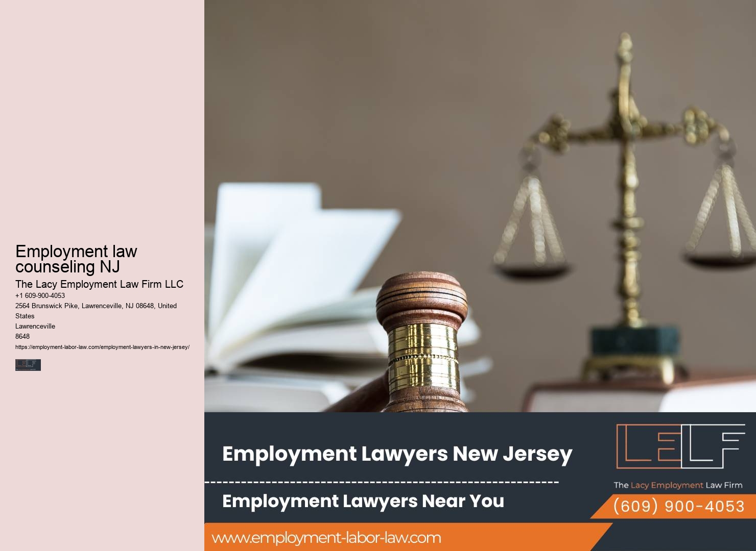 Employment litigation lawyer NJ